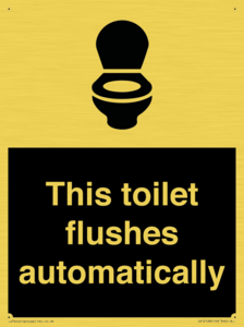 This toilet flushes automatically